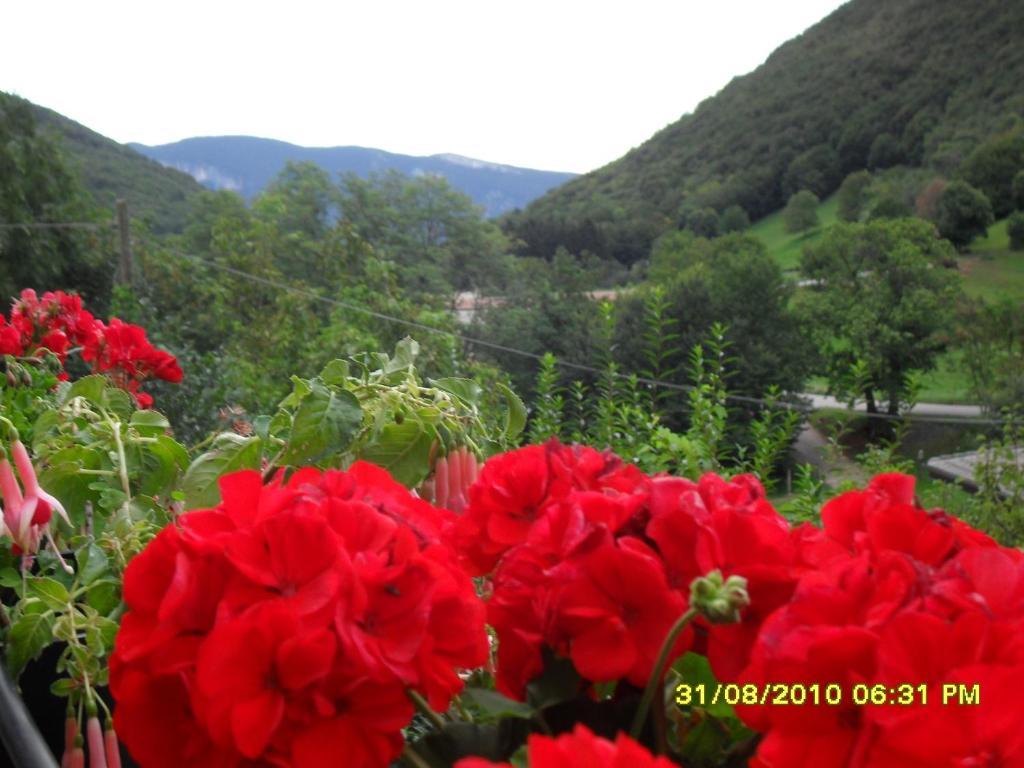 Montebaldina