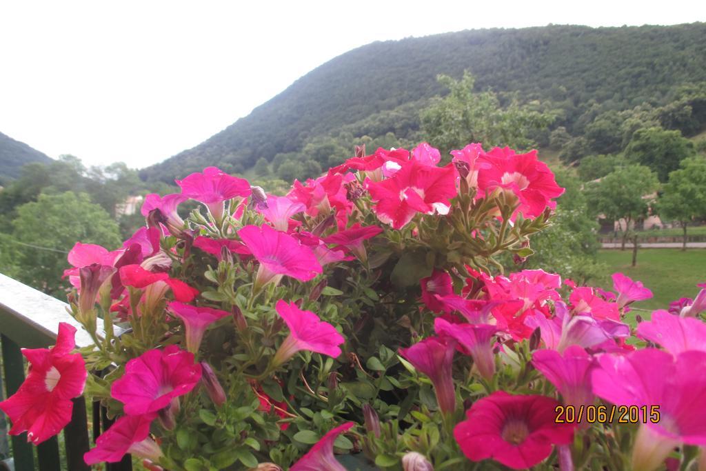 Hotel Montebaldina San Zeno di Montagna