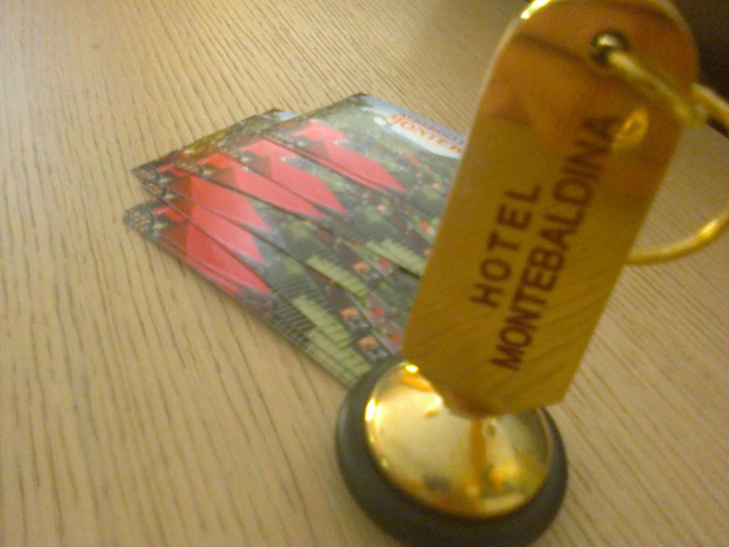 Hotel Montebaldina 3*